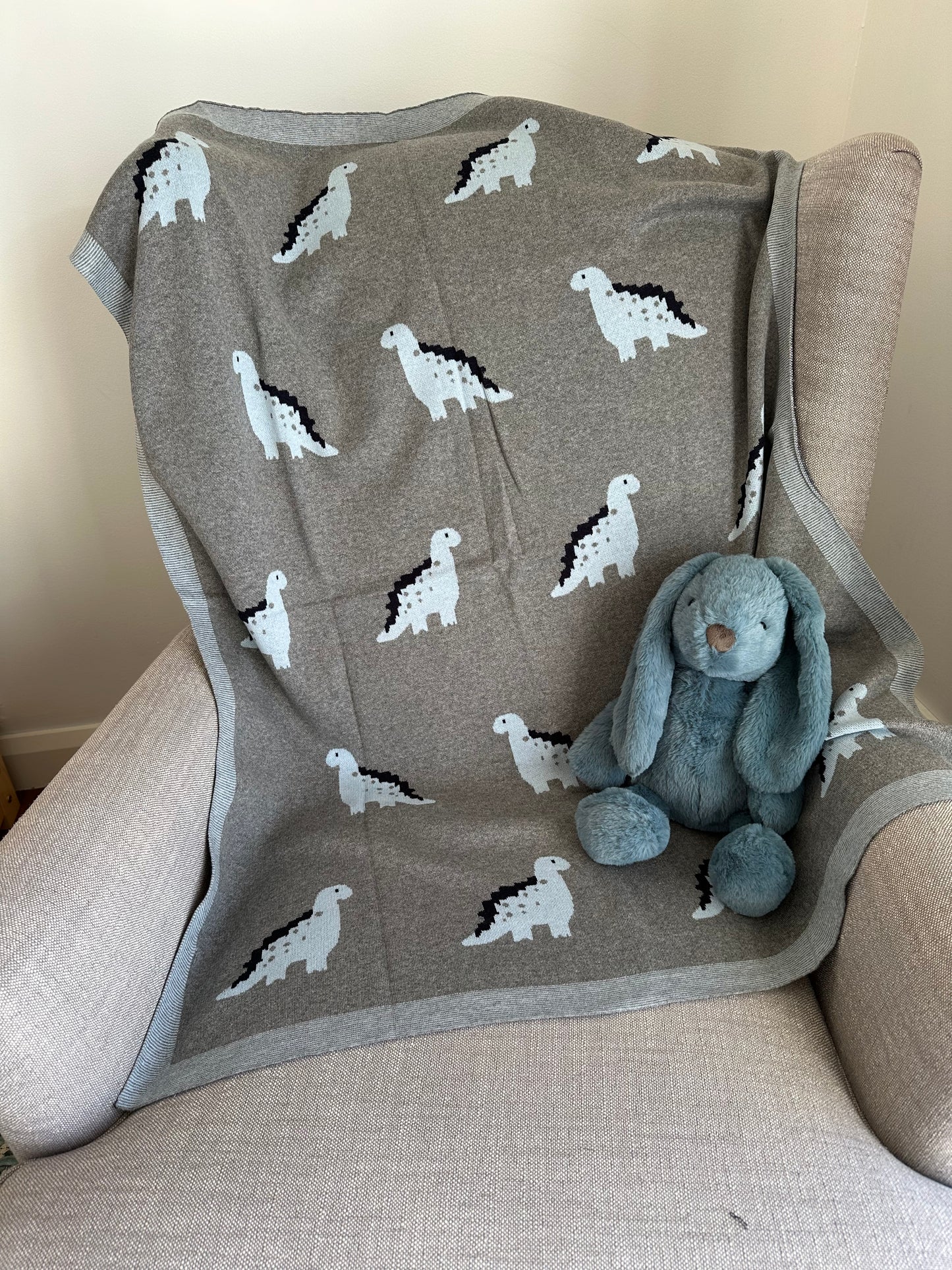 Baby Dinosaur Blanket 100% Cotton